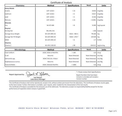 RAPID IMMUNE – 90-Day Immune Support System